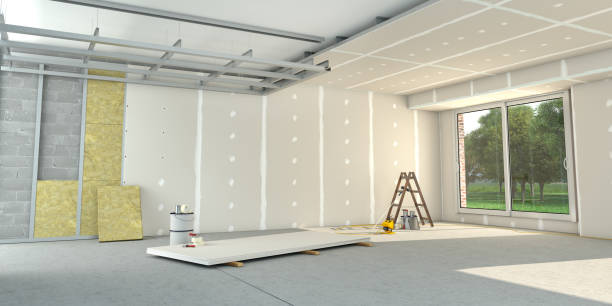 Best Insulation Removal  in Red Boiling Springs, TN