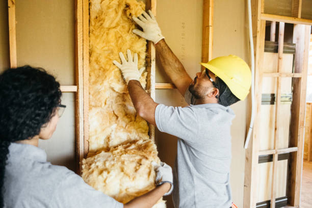 Best Attic Insulation Installation  in Red Boiling Springs, TN